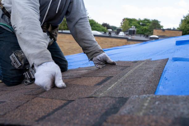 Best Shingle Roofing Installation  in Gardende, AL